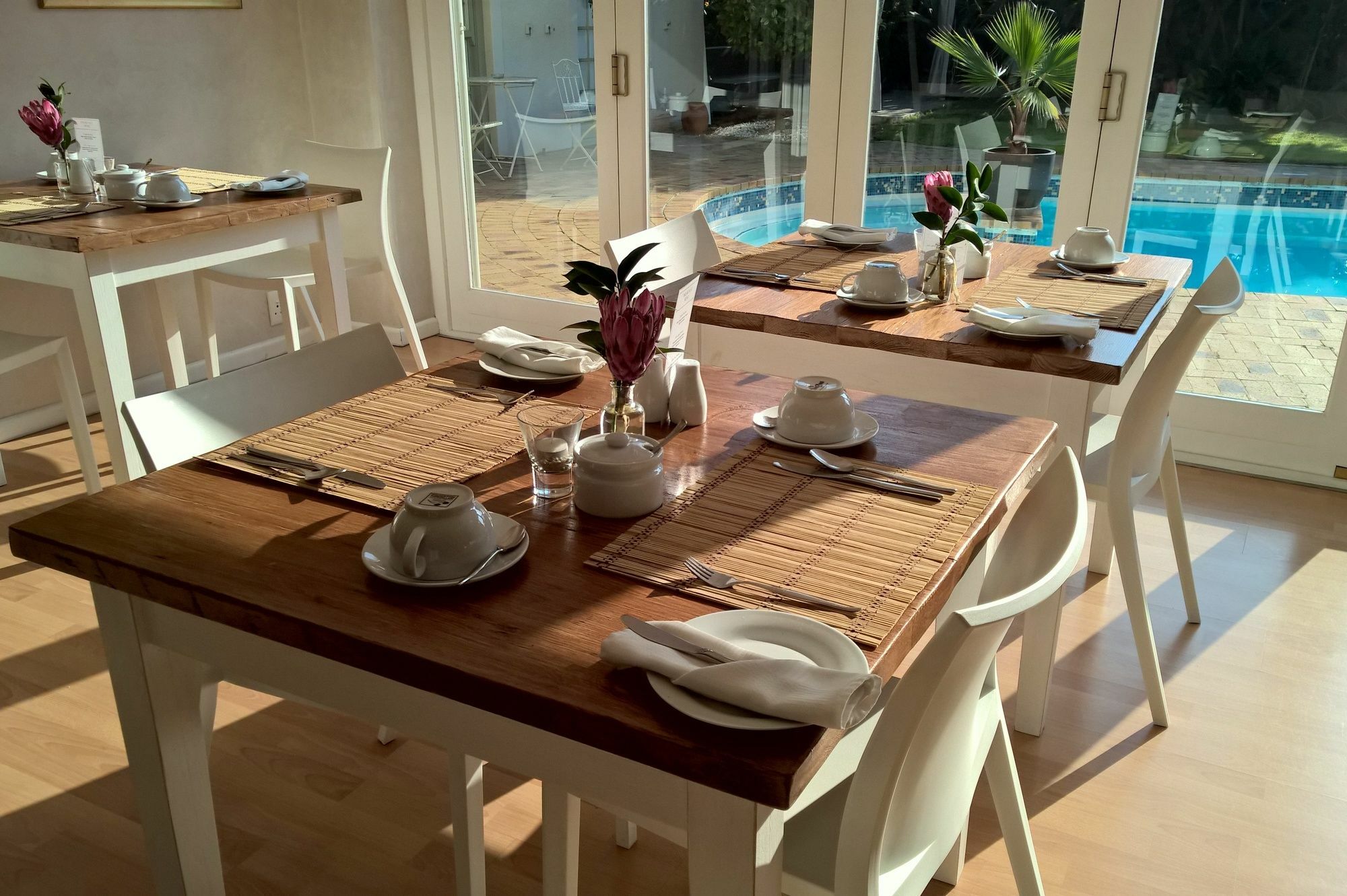 Wild Olive Guest House Cape Town Ngoại thất bức ảnh